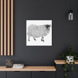 Aries - Highland Ewe (Matte Canvas, Stretched, 1.25")