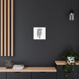 Liosmor Boy (Highland Cow) (Canvas, Stretched, 1.25")