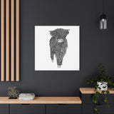 Liosmor Boy - Highland Coo (Matte Canvas, Stretched, 1.25")