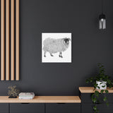 Aries - Highland Ewe (Matte Canvas, Stretched, 1.25")
