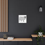 Aries - Highland Ewe (Matte Canvas, Stretched, 1.25")