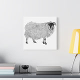 Aries - Highland Ewe (Matte Canvas, Stretched, 1.25")