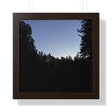 The Dark Castle, Framed