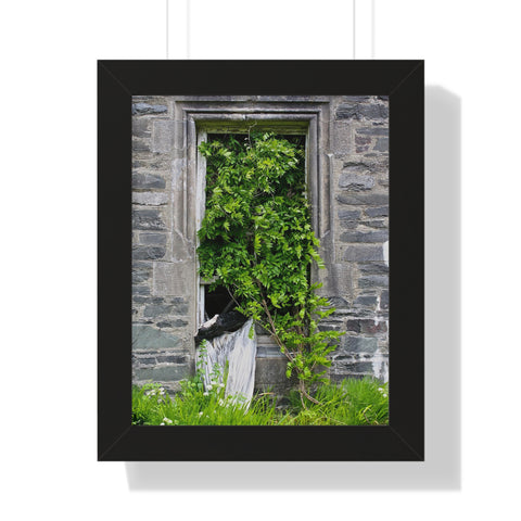 The Verdant Window, Dunans Castle, Framed