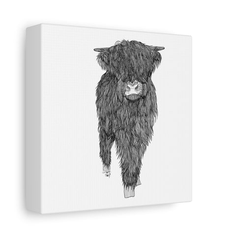Liosmor Boy - Highland Coo (Matte Canvas, Stretched, 1.25")