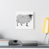 Aries - Highland Ewe (Matte Canvas, Stretched, 1.25")