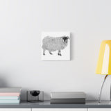Aries - Highland Ewe (Matte Canvas, Stretched, 1.25")