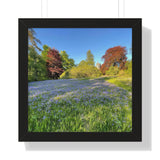 The Great Turret at Dunans Castle in May, Framed