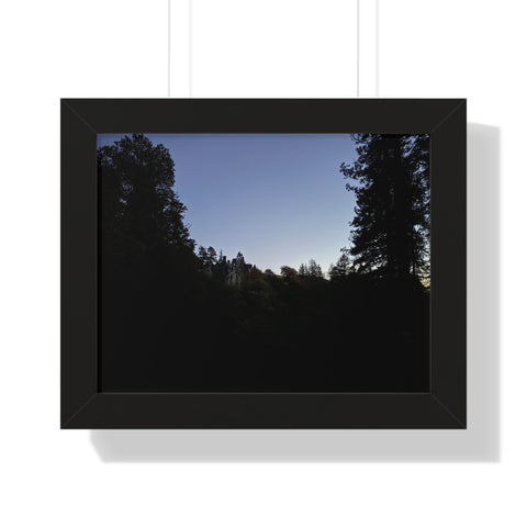 The Dark Castle, Framed