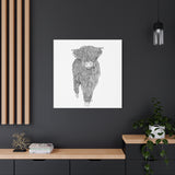 Liosmor Boy (Highland Cow) (Canvas, Stretched, 1.25")