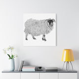 Aries - Highland Ewe (Matte Canvas, Stretched, 1.25")