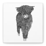 Liosmor Boy - Highland Coo (Matte Canvas, Stretched, 1.25")