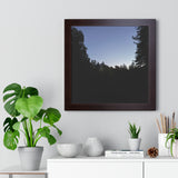 The Dark Castle, Framed