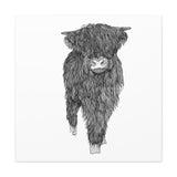 Liosmor Boy - Highland Coo (Matte Canvas, Stretched, 1.25")
