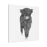 Liosmor Boy - Highland Coo (Matte Canvas, Stretched, 1.25")