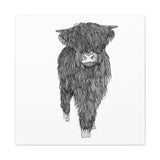 Liosmor Boy - Highland Coo (Matte Canvas, Stretched, 1.25")