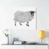 Aries - Highland Ewe (Matte Canvas, Stretched, 1.25")