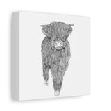 Liosmor Boy (Highland Cow) (Canvas, Stretched, 1.25")