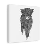 Liosmor Boy - Highland Coo (Matte Canvas, Stretched, 1.25")