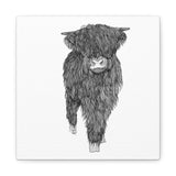 Liosmor Boy - Highland Coo (Matte Canvas, Stretched, 1.25")