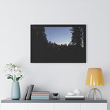 The Dark Castle, Framed