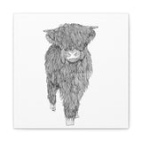 Liosmor Boy (Highland Cow) (Canvas, Stretched, 1.25")