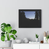 The Dark Castle, Framed
