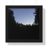 The Dark Castle, Framed