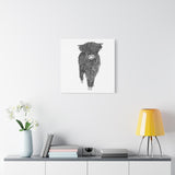 Liosmor Boy - Highland Coo (Matte Canvas, Stretched, 1.25")