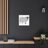 Aries - Highland Ewe (Matte Canvas, Stretched, 1.25")