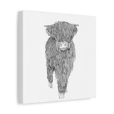 Liosmor Boy (Highland Cow) (Canvas, Stretched, 1.25")