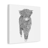 Liosmor Boy (Highland Cow) (Canvas, Stretched, 1.25")
