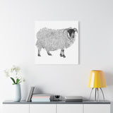 Aries - Highland Ewe (Matte Canvas, Stretched, 1.25")