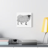 Aries - Highland Ewe (Matte Canvas, Stretched, 1.25")