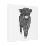 Liosmor Boy - Highland Coo (Matte Canvas, Stretched, 1.25")