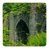 generated-preview-0