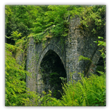 generated-preview-1