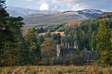 Plant a tree in Dunans Castle Native Woodland