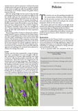 Conservation Plan for Dunans (Download) - Scottish Laird