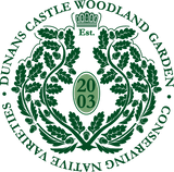 Plant a tree in Dunans Castle Native Woodland
