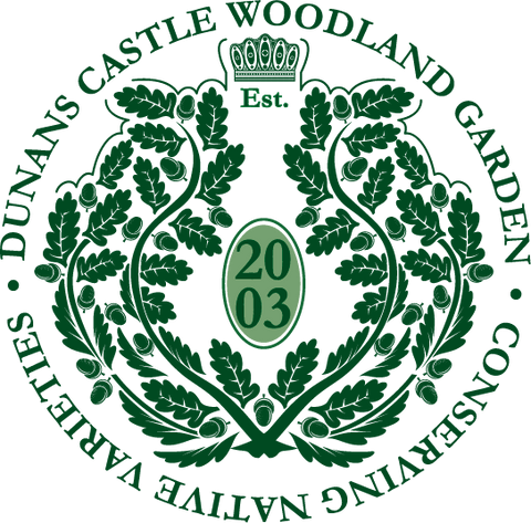 Plant a tree in Dunans Castle Native Woodland