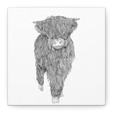 Liosmor Boy (Highland Cow) (Canvas, Stretched, 1.25")