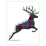 Stag Leaping, Dunans Rising Tartan, Magnets