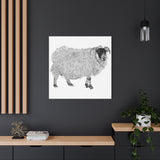 Aries - Highland Ewe (Matte Canvas, Stretched, 1.25")