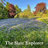 The Slate Explorer