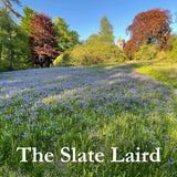 The Slate Laird
