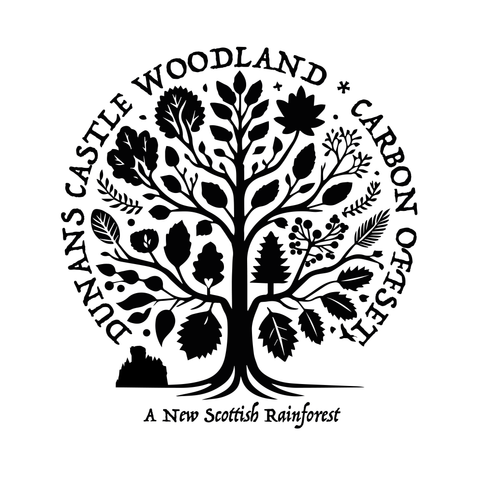 Carbon Credits from Dunans Castle Woodland - Print Version