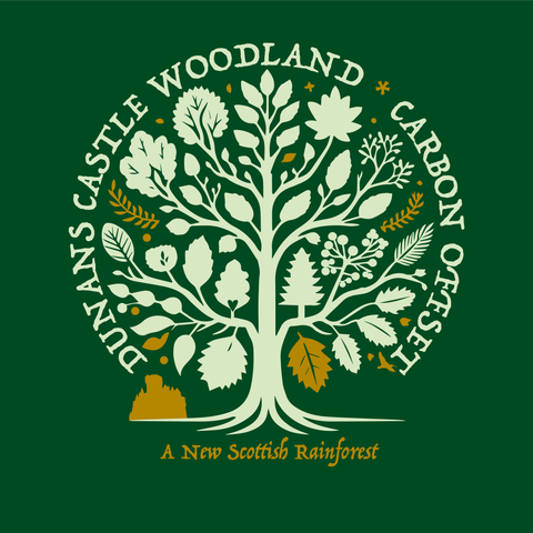 Carbon Credits from Dunans Castle Woodland - Download only