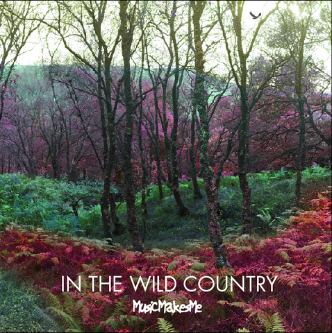 MusicMakesMe: In The Wild Country
